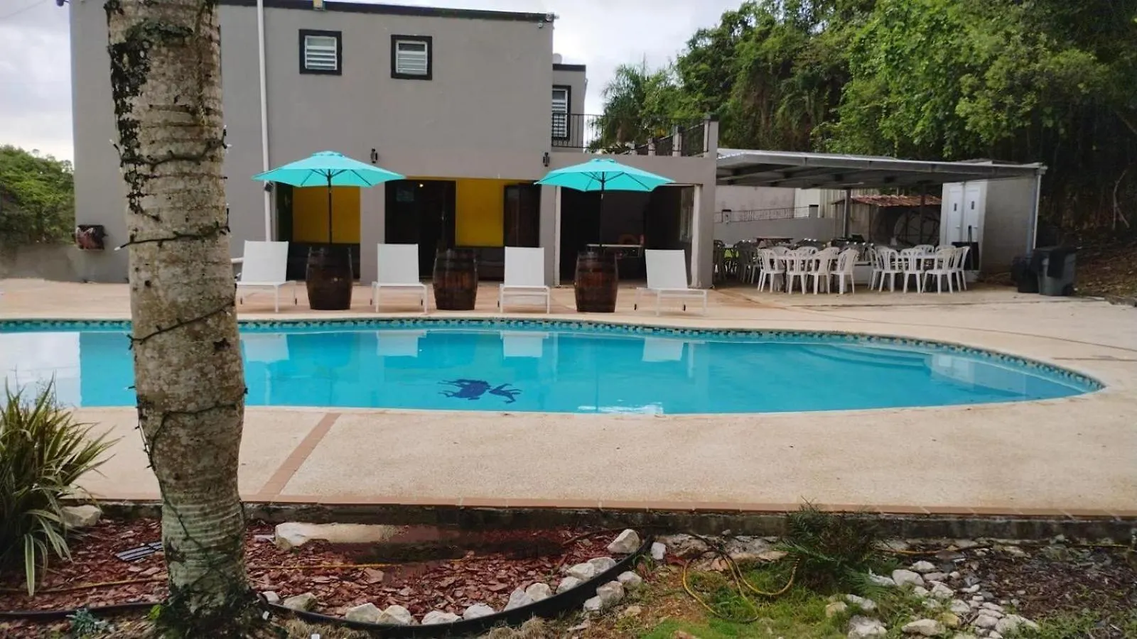 Hacienda M&B Perfect For Groups, With Pool And Spacious Patio Vega Baja